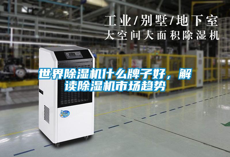 世界除濕機什么牌子好，解讀除濕機市場趨勢