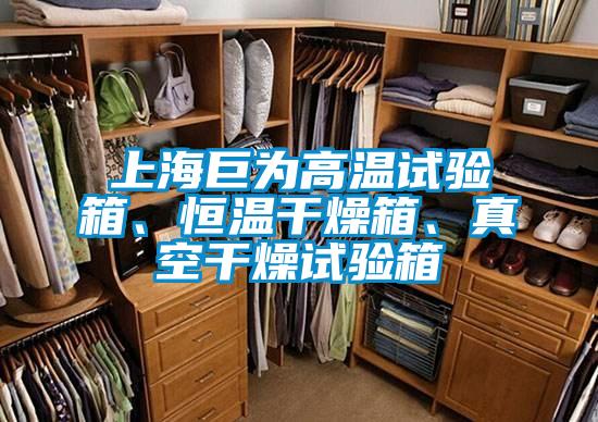 上海巨為高溫試驗(yàn)箱、恒溫干燥箱、真空干燥試驗(yàn)箱