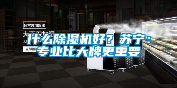 什么除濕機(jī)好？蘇寧：專業(yè)比大牌更重要