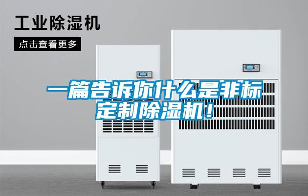 一篇告訴你什么是非標定制除濕機！