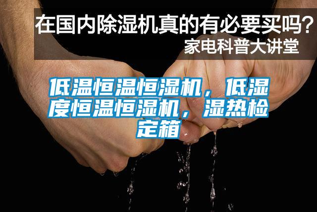 低溫恒溫恒濕機，低濕度恒溫恒濕機，濕熱檢定箱