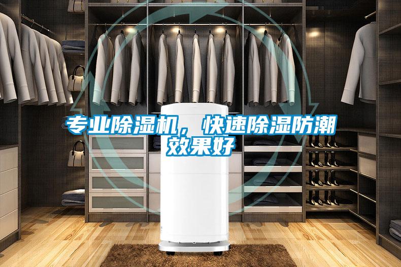 專業(yè)除濕機，快速除濕防潮效果好
