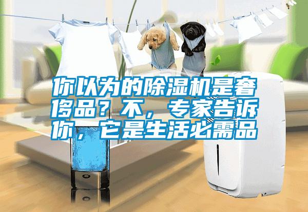 你以為的除濕機(jī)是奢侈品？不，專(zhuān)家告訴你，它是生活必需品
