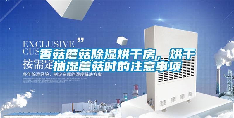 香菇蘑菇除濕烘干房，烘干抽濕蘑菇時(shí)的注意事項(xiàng)