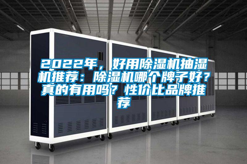 2022年，好用除濕機(jī)抽濕機(jī)推薦：除濕機(jī)哪個(gè)牌子好？真的有用嗎？性價(jià)比品牌推薦
