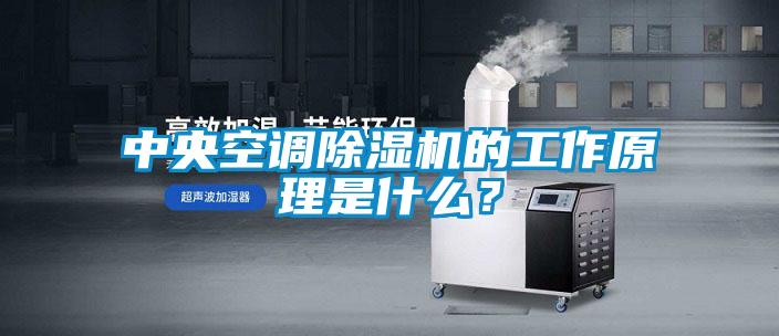 中央空調(diào)除濕機(jī)的工作原理是什么？