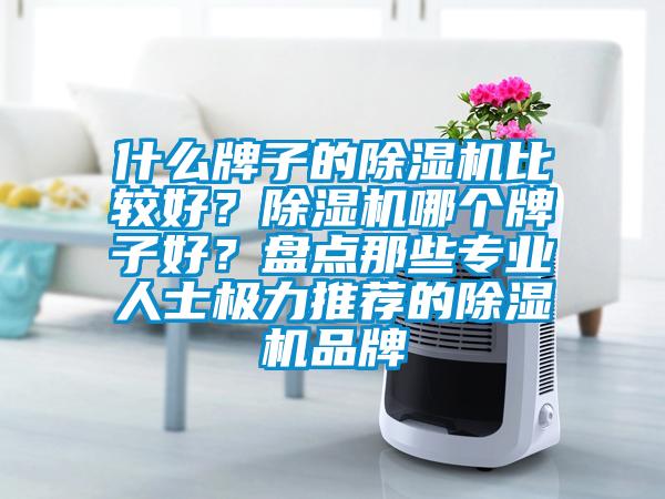 什么牌子的除濕機(jī)比較好？除濕機(jī)哪個(gè)牌子好？盤點(diǎn)那些專業(yè)人士極力推薦的除濕機(jī)品牌