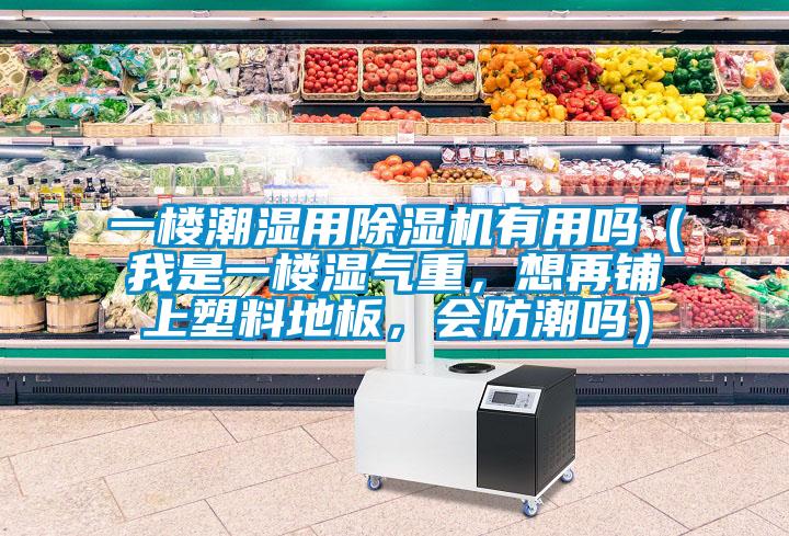 一樓潮濕用除濕機(jī)有用嗎（我是一樓濕氣重，想再鋪上塑料地板，會防潮嗎）