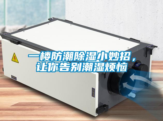 一樓防潮除濕小妙招，讓你告別潮濕煩惱