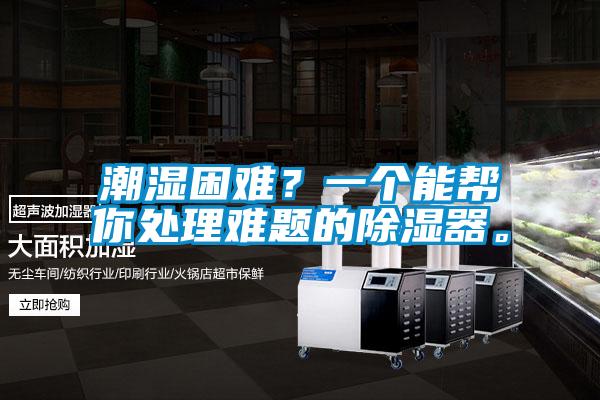 潮濕困難？一個能幫你處理難題的除濕器。