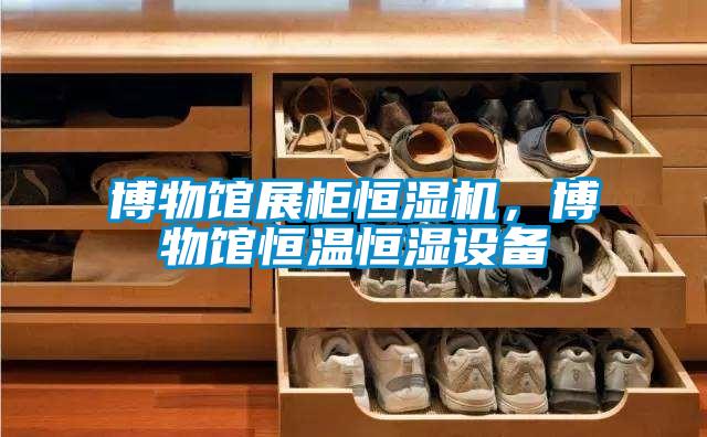 博物館展柜恒濕機，博物館恒溫恒濕設(shè)備