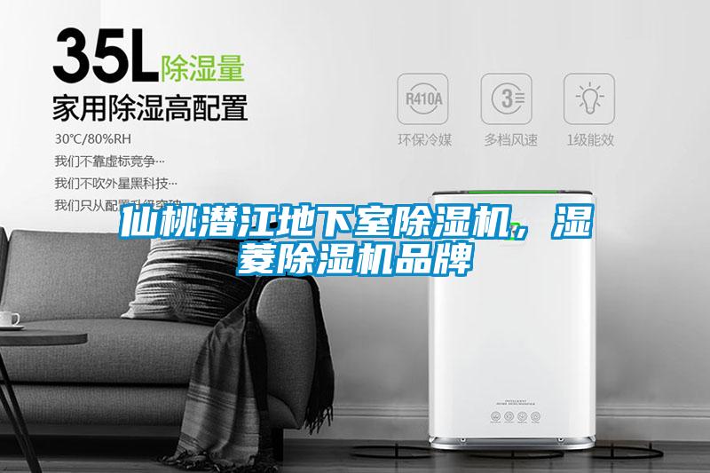仙桃潛江地下室除濕機(jī)，濕菱除濕機(jī)品牌