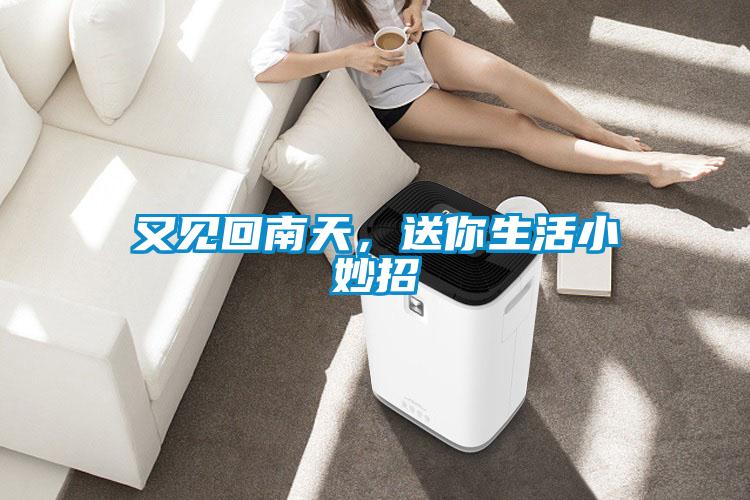 又見回南天，送你生活小妙招