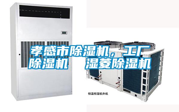 孝感市除濕機(jī)，工廠除濕機(jī)  濕菱除濕機(jī)