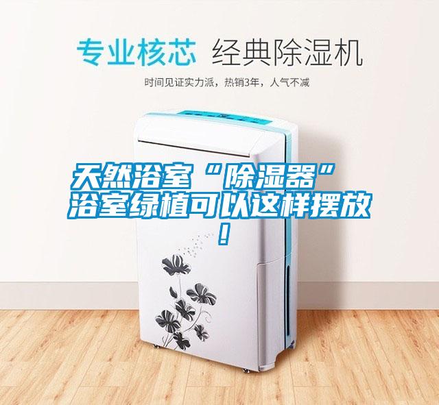 天然浴室“除濕器” 浴室綠植可以這樣擺放！