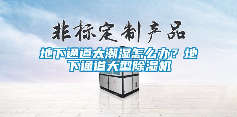 地下通道太潮濕怎么辦？地下通道大型除濕機