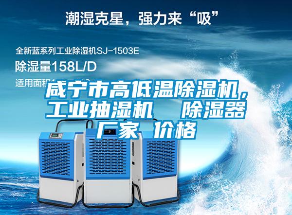 咸寧市高低溫除濕機(jī)，工業(yè)抽濕機(jī)  除濕器廠家 價(jià)格