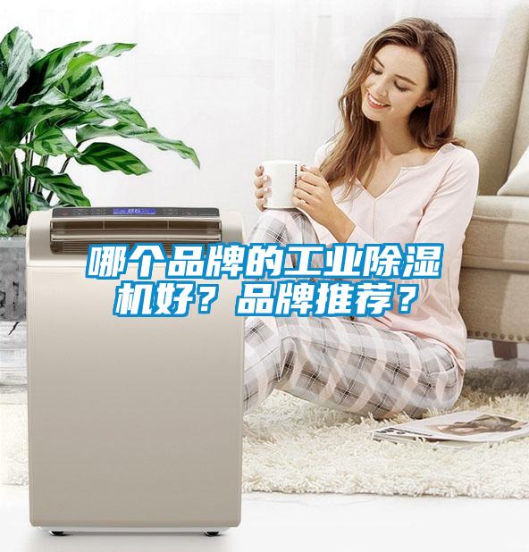 哪個品牌的工業(yè)除濕機(jī)好？品牌推薦？