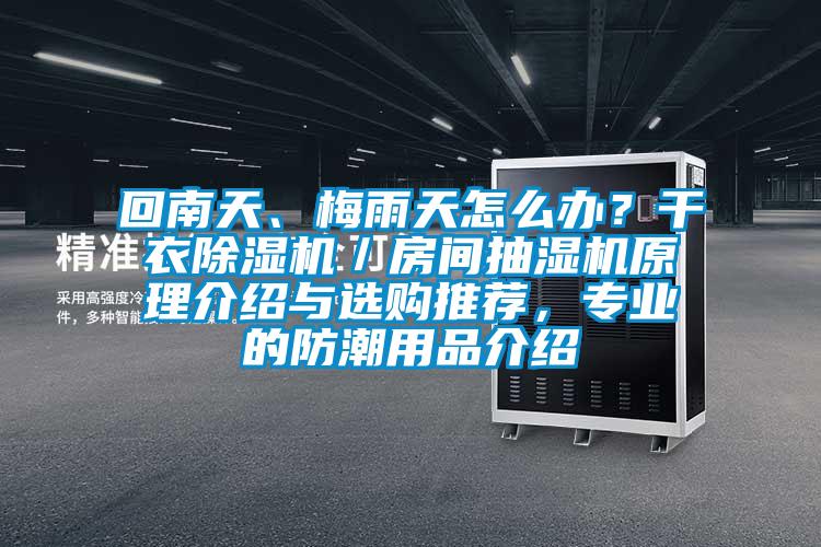 回南天、梅雨天怎么辦？干衣除濕機／房間抽濕機原理介紹與選購推薦，專業(yè)的防潮用品介紹