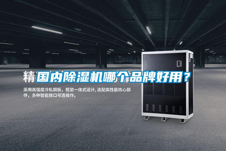 國內(nèi)除濕機哪個品牌好用？