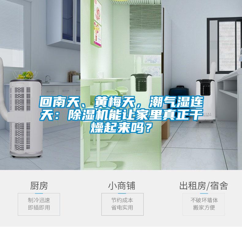 回南天、黃梅天，潮氣濕連天：除濕機能讓家里真正干燥起來嗎？