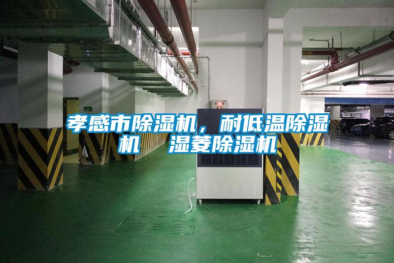 孝感市除濕機(jī)，耐低溫除濕機(jī)  濕菱除濕機(jī)