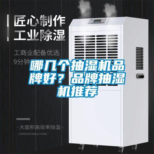 哪幾個(gè)抽濕機(jī)品牌好？品牌抽濕機(jī)推薦