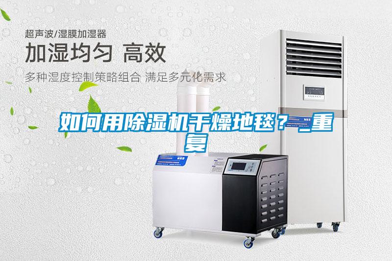 如何用除濕機干燥地毯？_重復(fù)