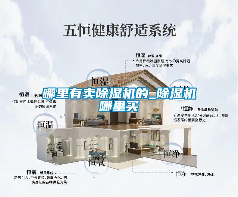 哪里有賣(mài)除濕機(jī)的_除濕機(jī)哪里買(mǎi)