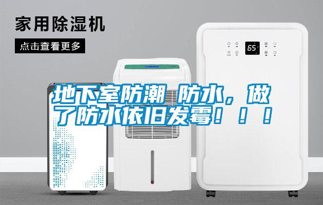地下室防潮≠防水，做了防水依舊發(fā)霉?。?！
