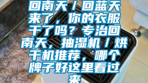 回南天／回藍(lán)天來了，你的衣服干了嗎？專治回南天，抽濕機(jī)／烘干機(jī)推薦，哪個(gè)牌子好這里看過來