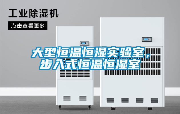 大型恒溫恒濕實(shí)驗室，步入式恒溫恒濕室
