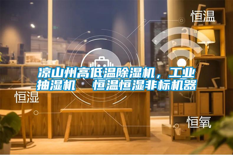 涼山州高低溫除濕機(jī)，工業(yè)抽濕機(jī)  恒溫恒濕非標(biāo)機(jī)器