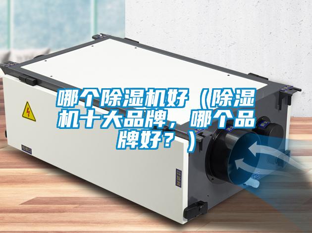 哪個除濕機好（除濕機十大品牌，哪個品牌好？）