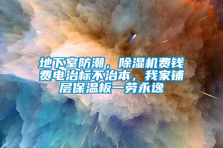 地下室防潮，除濕機費錢費電治標(biāo)不治本，我家鋪層保溫板一勞永逸