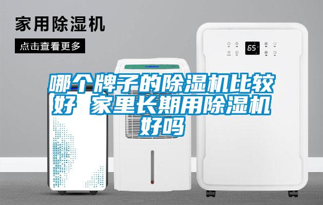 哪個牌子的除濕機(jī)比較好 家里長期用除濕機(jī)好嗎