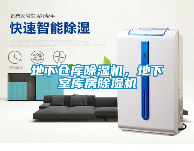 地下倉(cāng)庫(kù)除濕機(jī)，地下室?guī)旆砍凉駲C(jī)