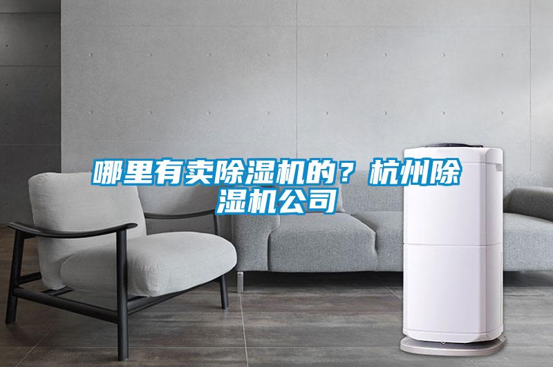 哪里有賣除濕機的？杭州除濕機公司
