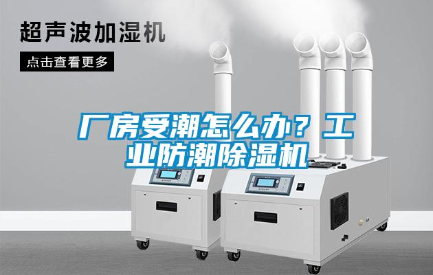 廠房受潮怎么辦？工業(yè)防潮除濕機