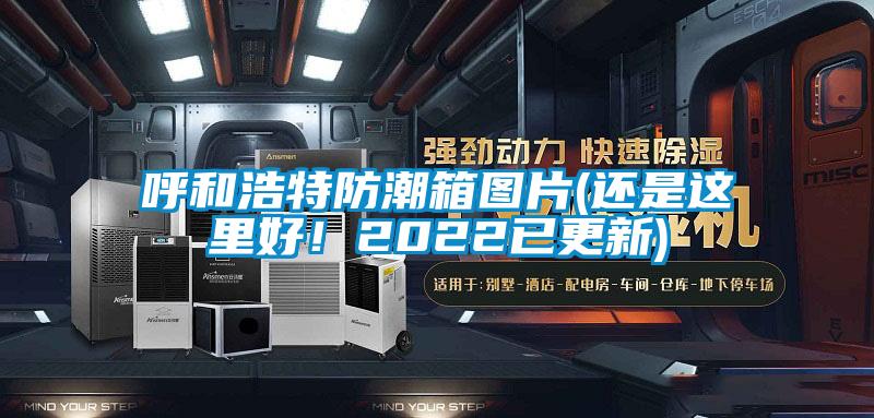 呼和浩特防潮箱圖片(還是這里好！2022已更新)