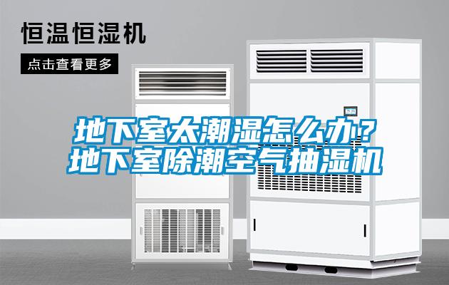 地下室太潮濕怎么辦？地下室除潮空氣抽濕機(jī)