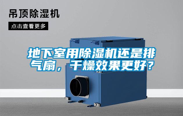地下室用除濕機還是排氣扇，干燥效果更好？
