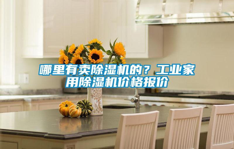 哪里有賣除濕機的？工業(yè)家用除濕機價格報價