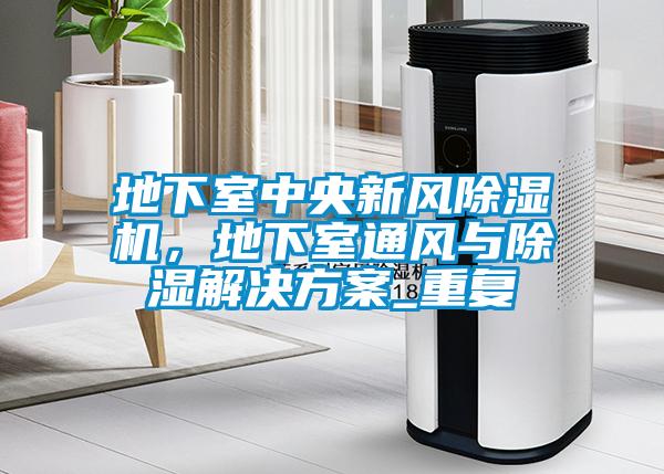 地下室中央新風(fēng)除濕機(jī)，地下室通風(fēng)與除濕解決方案_重復(fù)