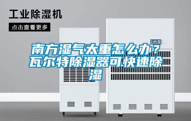 南方濕氣太重怎么辦？瓦爾特除濕器可快速除濕