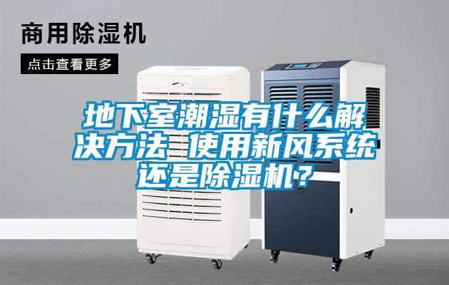 地下室潮濕有什么解決方法 使用新風(fēng)系統(tǒng)還是除濕機(jī)？
