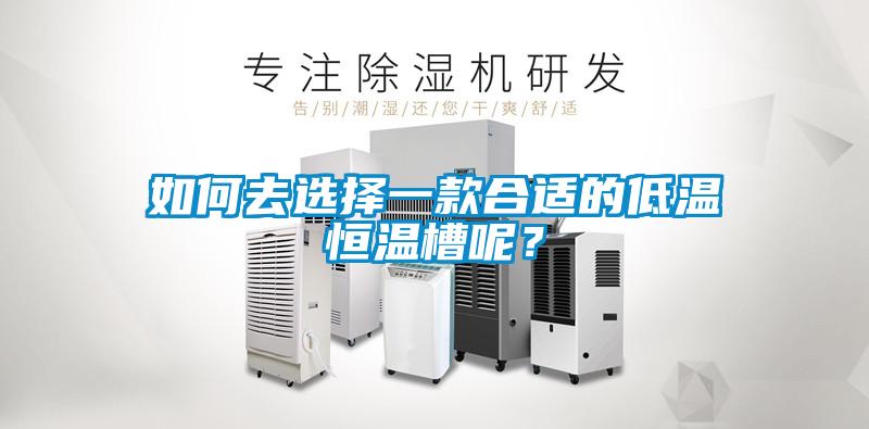 如何去選擇一款合適的低溫恒溫槽呢？