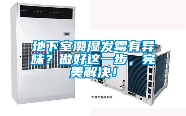 地下室潮濕發(fā)霉有異味？做好這一步，完美解決！