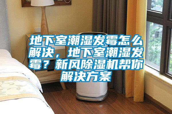 地下室潮濕發(fā)霉怎么解決，地下室潮濕發(fā)霉？新風(fēng)除濕機幫你解決方案