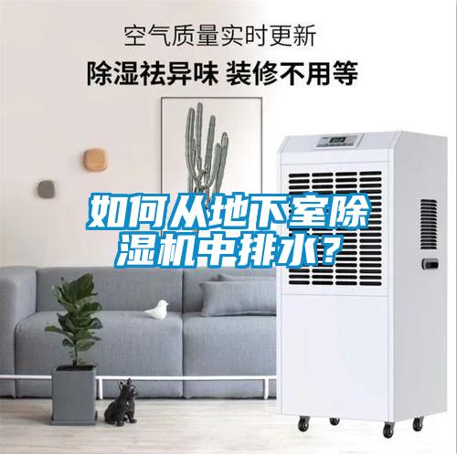 如何從地下室除濕機中排水？